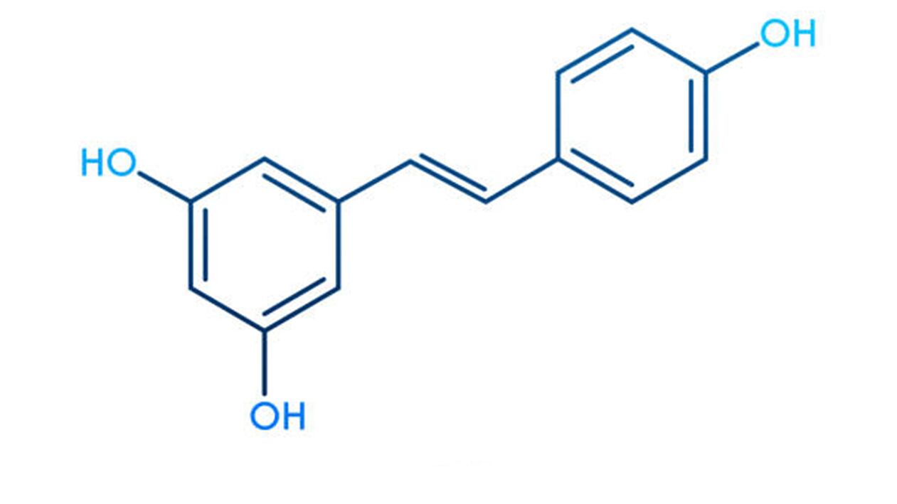 Resveratrol - komponenta Diaform Plus